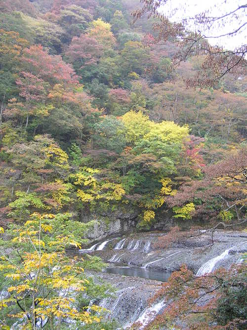20051105_ibarakitrip_013
